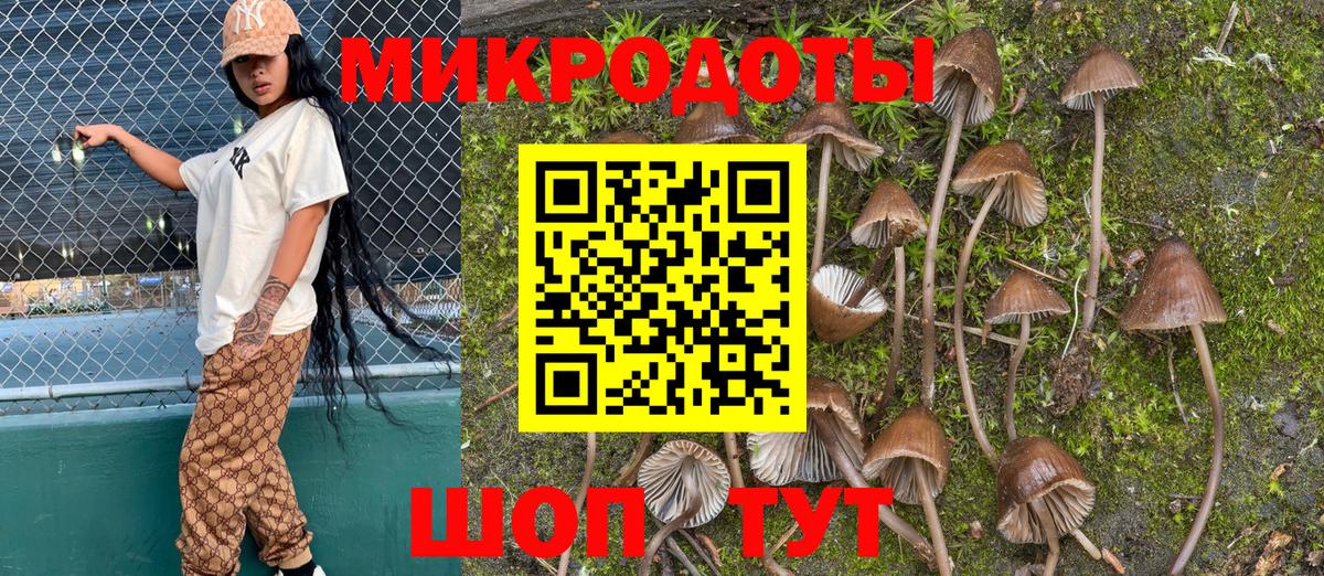 Псилоцибиновые грибы MAGIC MUSHROOMS  Вход с VPN  Кондопога  Галлюциногенные грибы GOLDEN TEACHER 